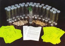 Educational Kit Plants